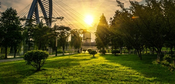 Dubai Creek Park