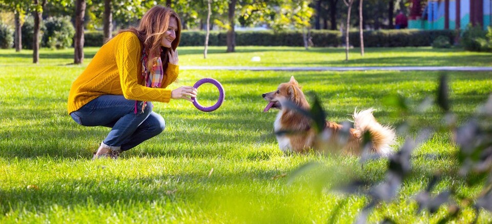 Best Dog Parks & Off-Leash Areas in Dubai