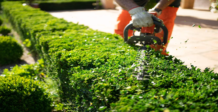 Best Landscaping Companies in Dubai