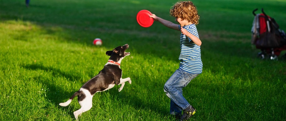 Best Dog Parks in Dubai