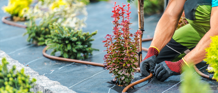 Best Landscaping Companies in Dubai