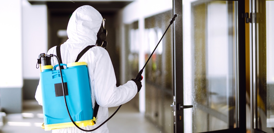 Top Pest Control Companies in Sharjah