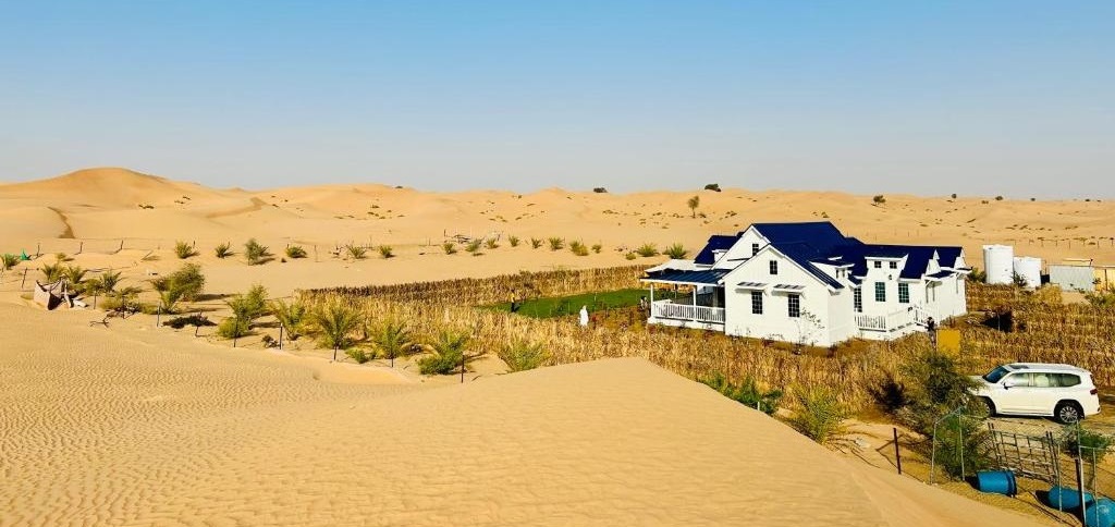 Best Desert Camping in Abu Dhabi