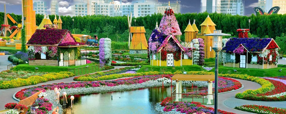 Explore Dubai Miracle Garden Timing and Ticket Prices