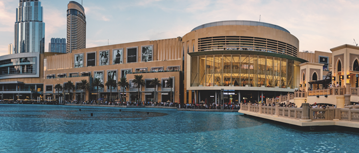 Take a Tour to Discover Dubai Mall Activities