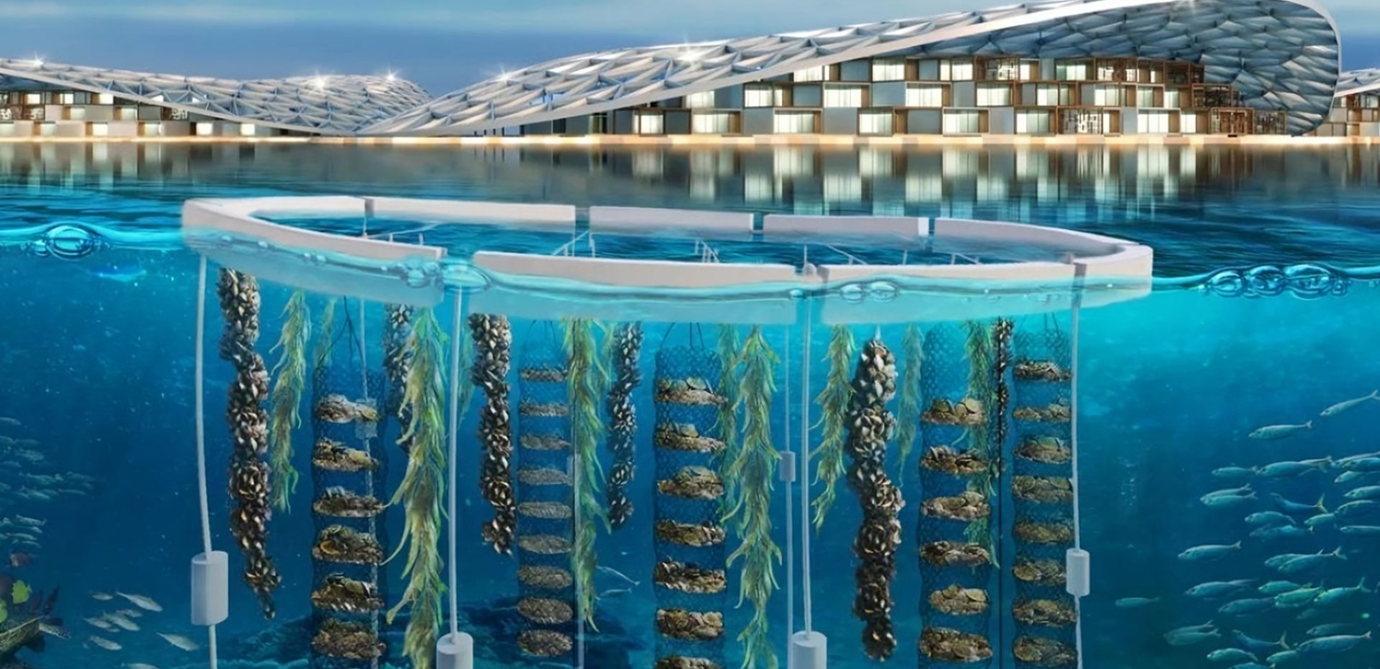 Dubai Reef: A Pioneering Marine Restoration and Ecotourism Initiative