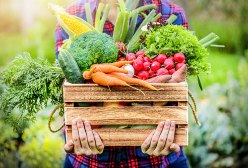 Pick Seasonal and Local Produce